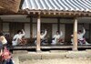 천안시, 전통예술 공연 '석오낙락' 개최